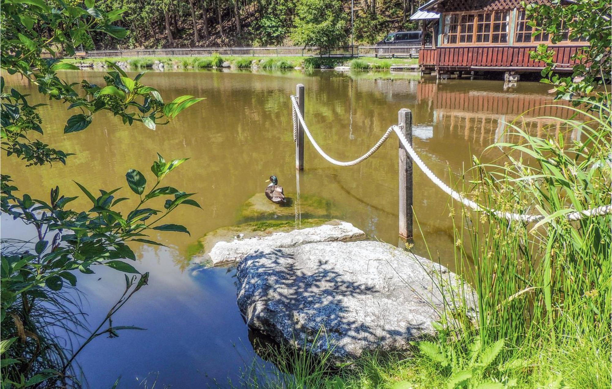 Ferienwohnung Mit Seeblick Aldrans Esterno foto